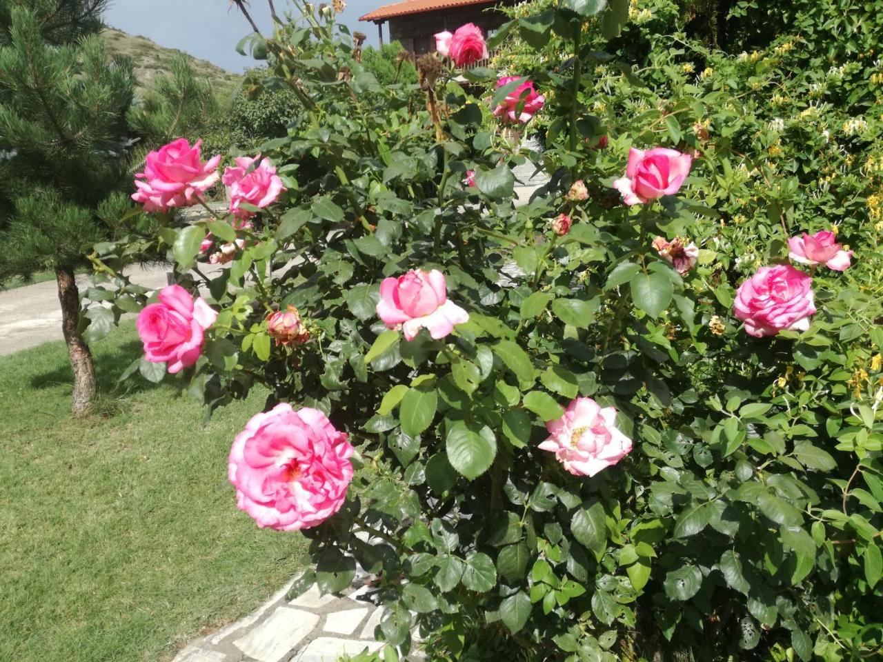 Prespa Resort & Spa Platy  Exterior foto